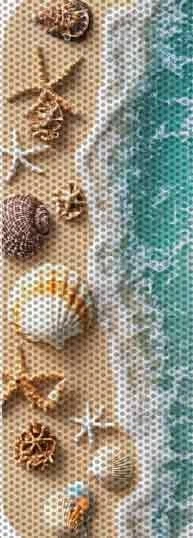 Sea shells door window decal - Image 2 of 2