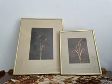 Framed Etching In Copper By Artist Wynn Hopkins - Foxtail Barley & Foxtail Set