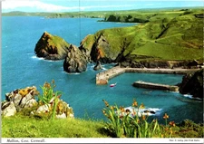 Cornwall Mullion Cove Birds Eye UK Postcard C302