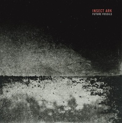 INSECT ARK - FUTURE FOSSILS - Vinyl Record - G3z