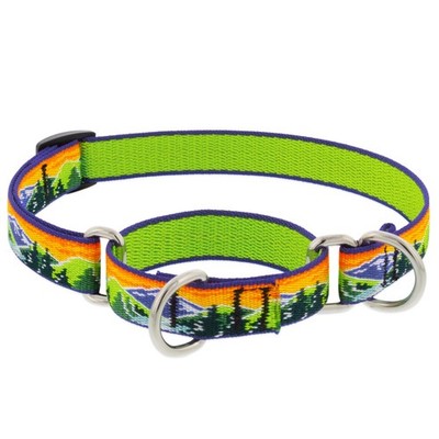LupinePet Martingale Collar   High Country Pattern, Durable, Multiple Sizes