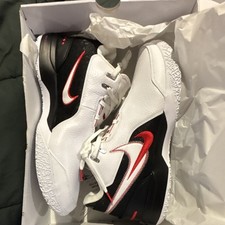 Nike Zoom LeBron NXXT Gen Men s Athletic Snea...