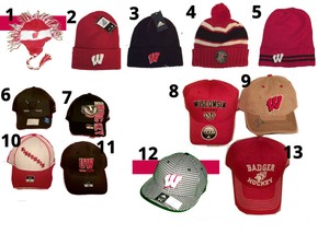 wisconsin hockey hat