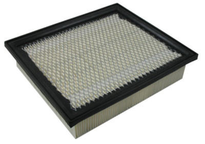 Air Filter Pentius PAB7431
