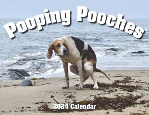 Calendrier canin 2024 Pooping Pooches, échange cadeau gag éléphant blanc échange yankee - Photo 1 sur 6