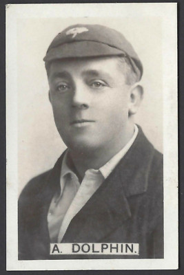 CHUMS - CRICKETSPIELER - #13 A DOLPHIN, YORKSHIRE