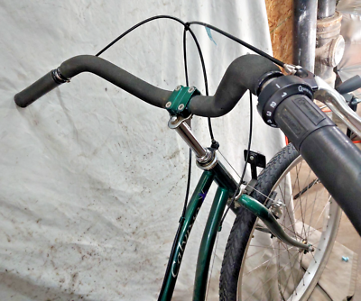 electric bicycle system The City Robin 3 | | Comfortable Ride, Low-Step Frame, Ideal for Errands, Paths & Everyday Use Don't reinvent the wheel SKU:SHF-Z5G0Jz 28+ MPH (Class 3) Canvas:Grey