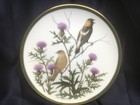 AUDUBON WORLD SONGBIRDS china dinner plate BOBOLINK FRANKLIN by WEDGWOOD — photo 1