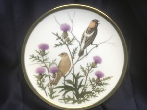 AUDUBON WORLD SONGBIRDS china dinner plate BOBOLINK FRANKLIN by WEDGWOOD