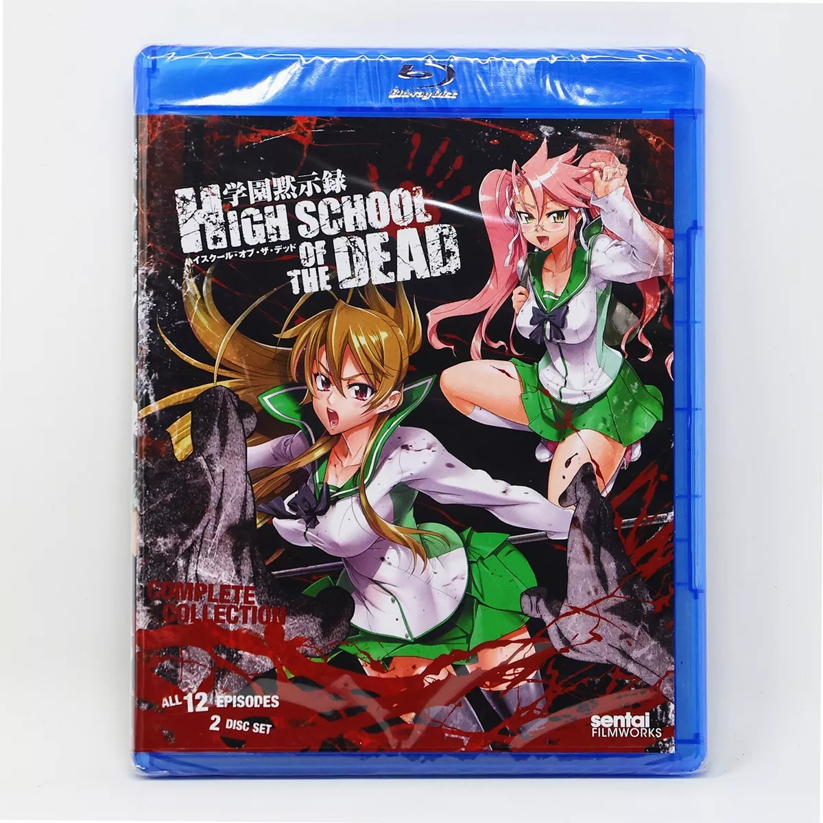 High School of the Dead TV Animation