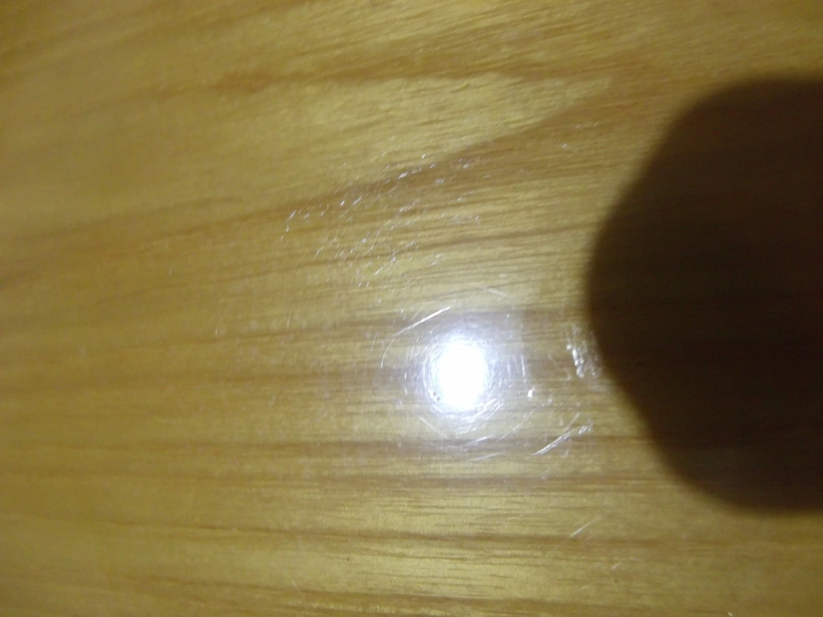 Picture 12 of 16