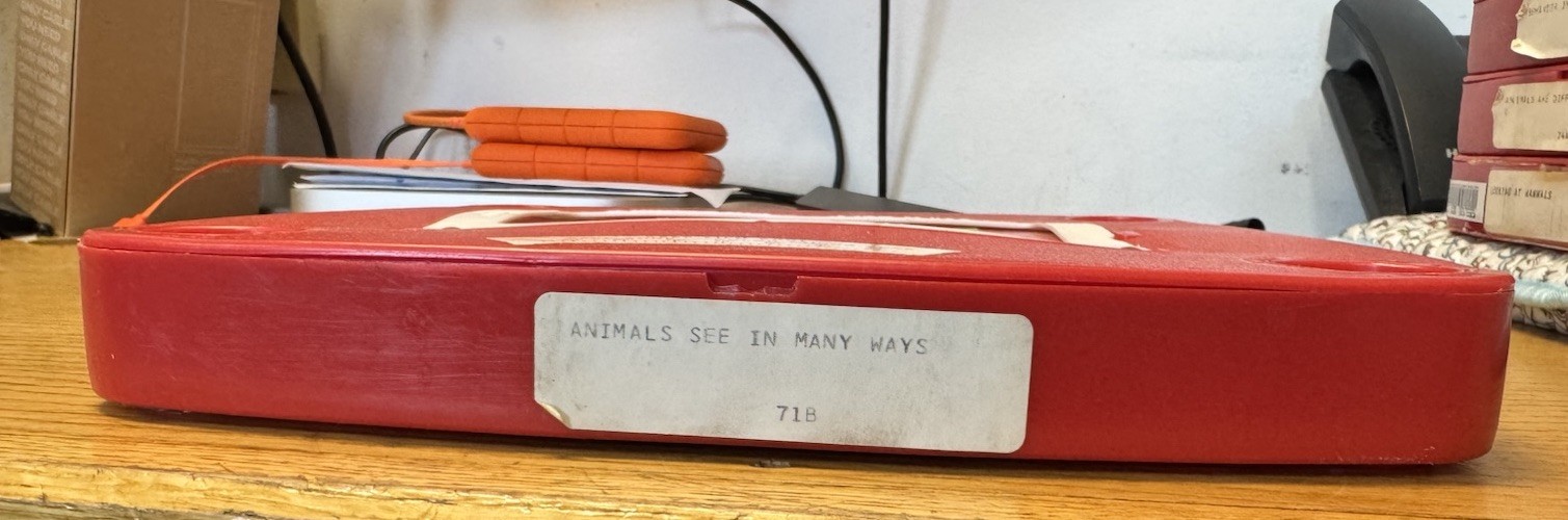 1 - 16mm  800'  EMPTY  METAL  FILM  REEL  TAYLOREEL  (  GREY )     A-     NICE