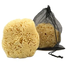 Real Sea Sponge For Men Extra Large 6"7" Totally Natural Kind On Skin For An Inv