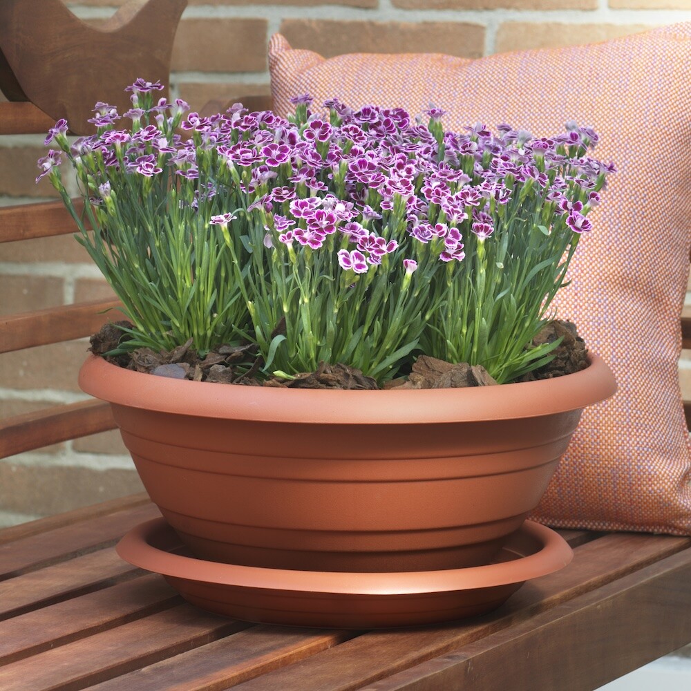 Blim Campana Vaso Di Fiori, Marrone Scuro, 50 Cm