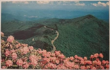 Vintage Postcard Blue Ridge Parkway Near Mt Mitchell North Carolina AA20