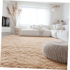 6x9 Machine Washable Large Area Rugs for Living Room, Bedroom, 6x9 Feet Beige