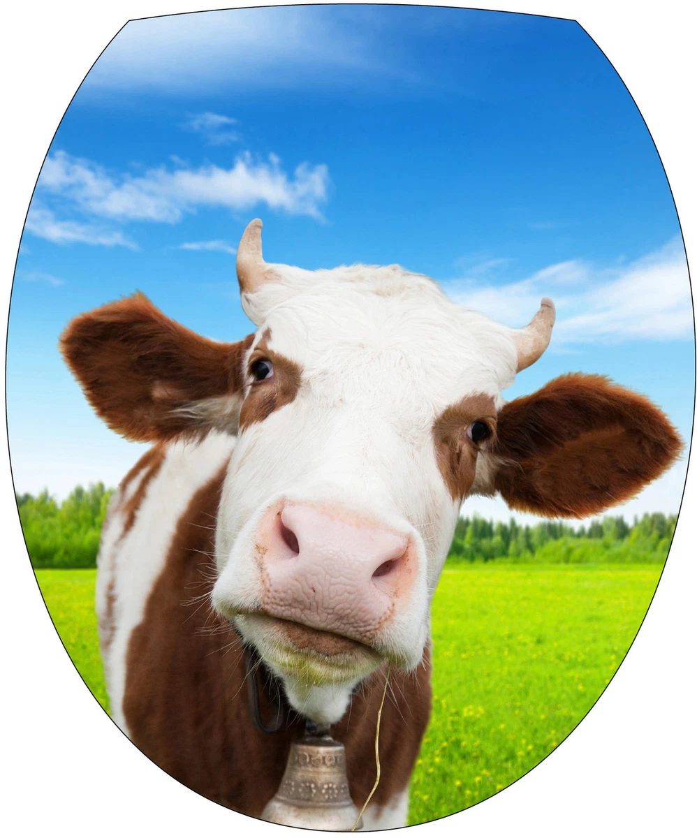 Abattant clearance wc vache