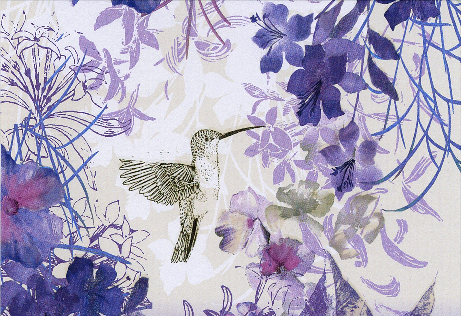 Note Card Hummingbird Inc Peter Pauper Press - Image 4