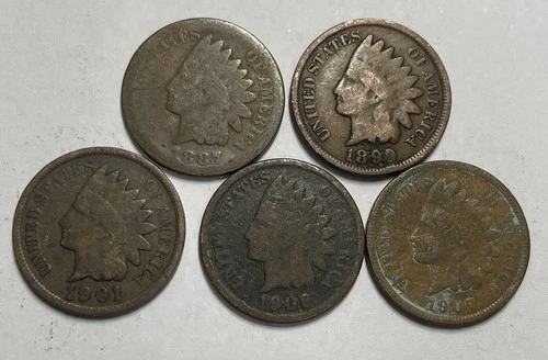 1887 1899 1901 1906 1907 Indian Head Cent Lot of 5