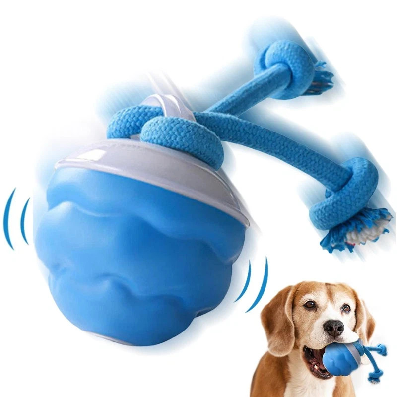 The Chase Buddy Dog Boredom Stimulating Toy 2026 Smart Pet Puppy Ball with Ropes