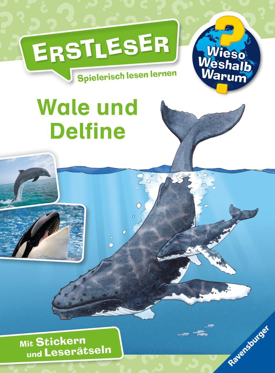 Thumbnail - Wieso? Weshalb? Warum? Erstleser: Wale Und Delfine (band 3) Sandra Noa