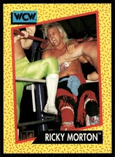 1991 Impel WCW #101 Ricky Morton