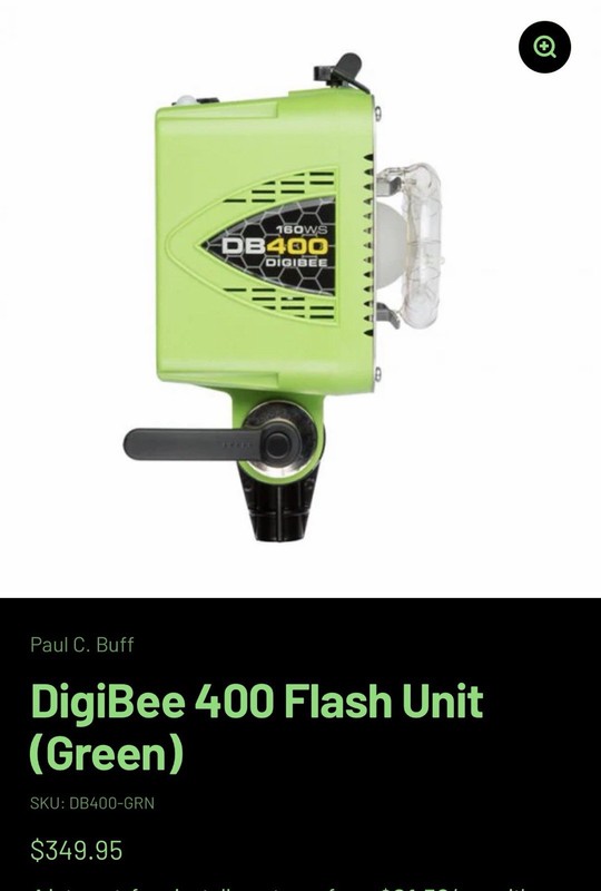 Paul C buff DigiBee 400