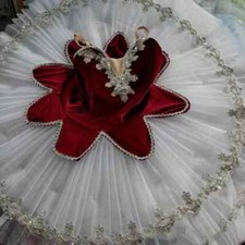 Children's Professional Ballet Tutu Dress Fluffy Tutu Skirt Performance Costume