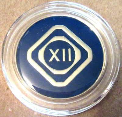 JUST FOR TODAY Narcotics Anonymous Blue 12 Year Medallion Silver Clean NA token
