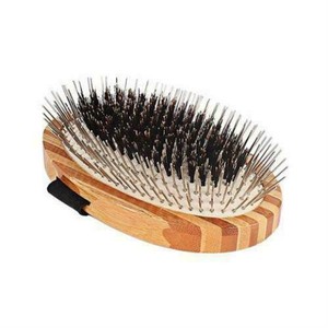 bass brushes dog