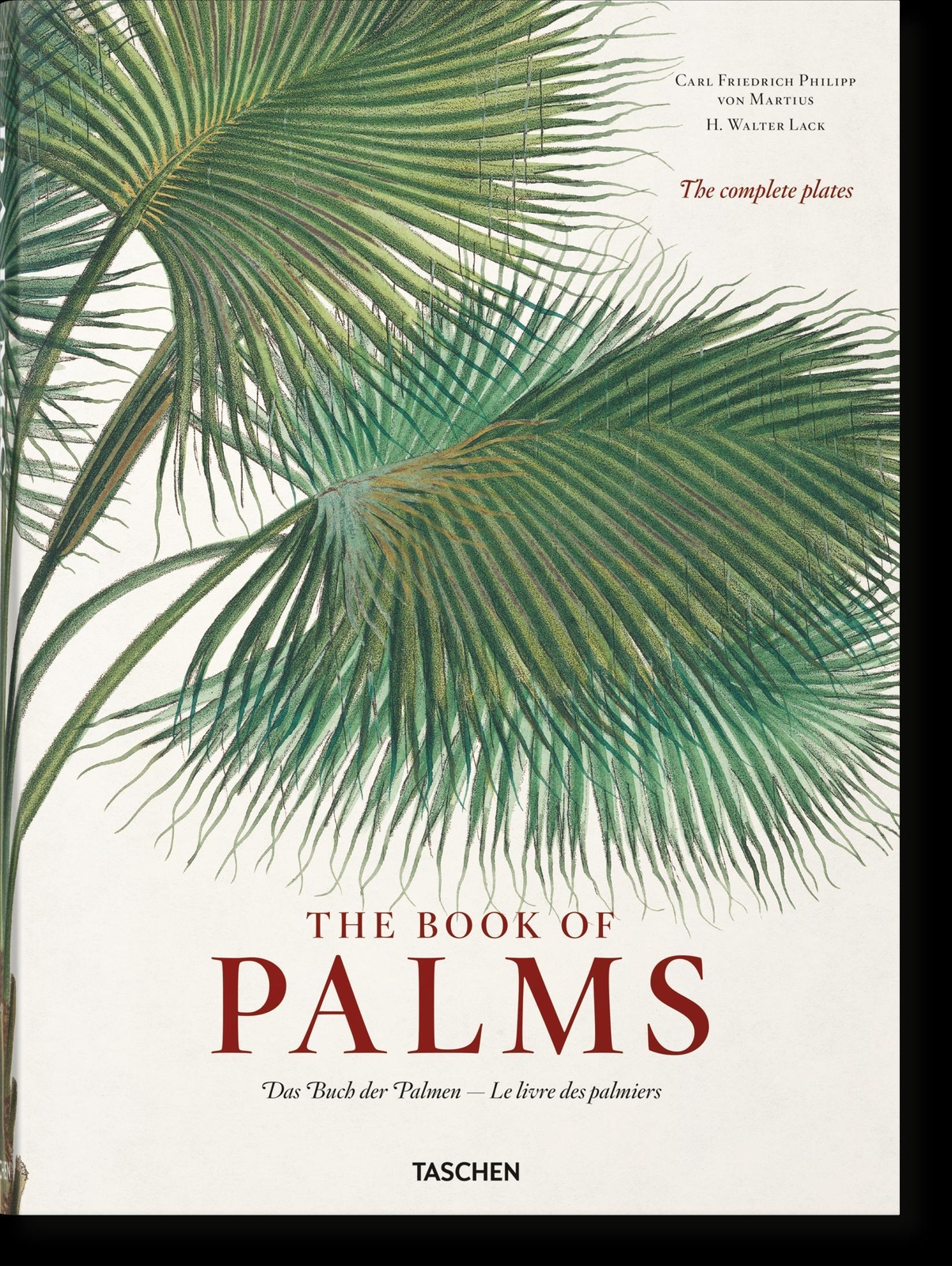 Martius. The Book Of Palms, H. Walter Lack