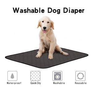 getting puppy to use pee pad