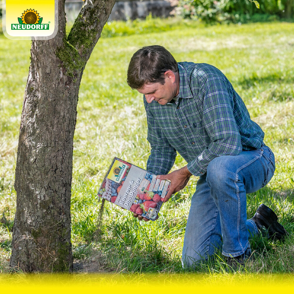 Neudorff Azet Beeren- Und ObstDünger 2,5 Kg Obst Wein Erdbeeren Johannisbeeren - Foto 5