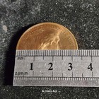 Picture 4 of 4