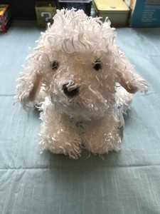 webkinz bichon frise