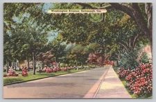 Washington Avenue Savannah Georgia Postcard Linen