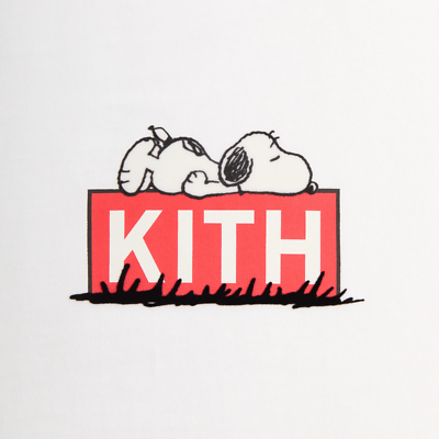 🔥SOLD OUT🔥 Kith for Peanuts Doghouse Classic Logo Tee | S | IN