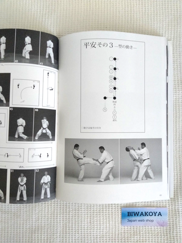 Karate Kata Book Set of two Kyokushin Kan Hatsuo Royama Hiroto Okazaki JAPAN - Foto 9 di 9