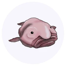 24 x 'Blobfish' Stickers - for Crafts, Scrapbooking and Labelling (SK00041976)