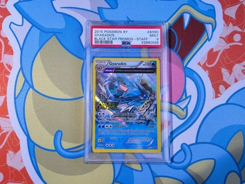 Gyarados - 2015 Pokemon XY Black Star Promos #XY60 STAFF - PSA 9