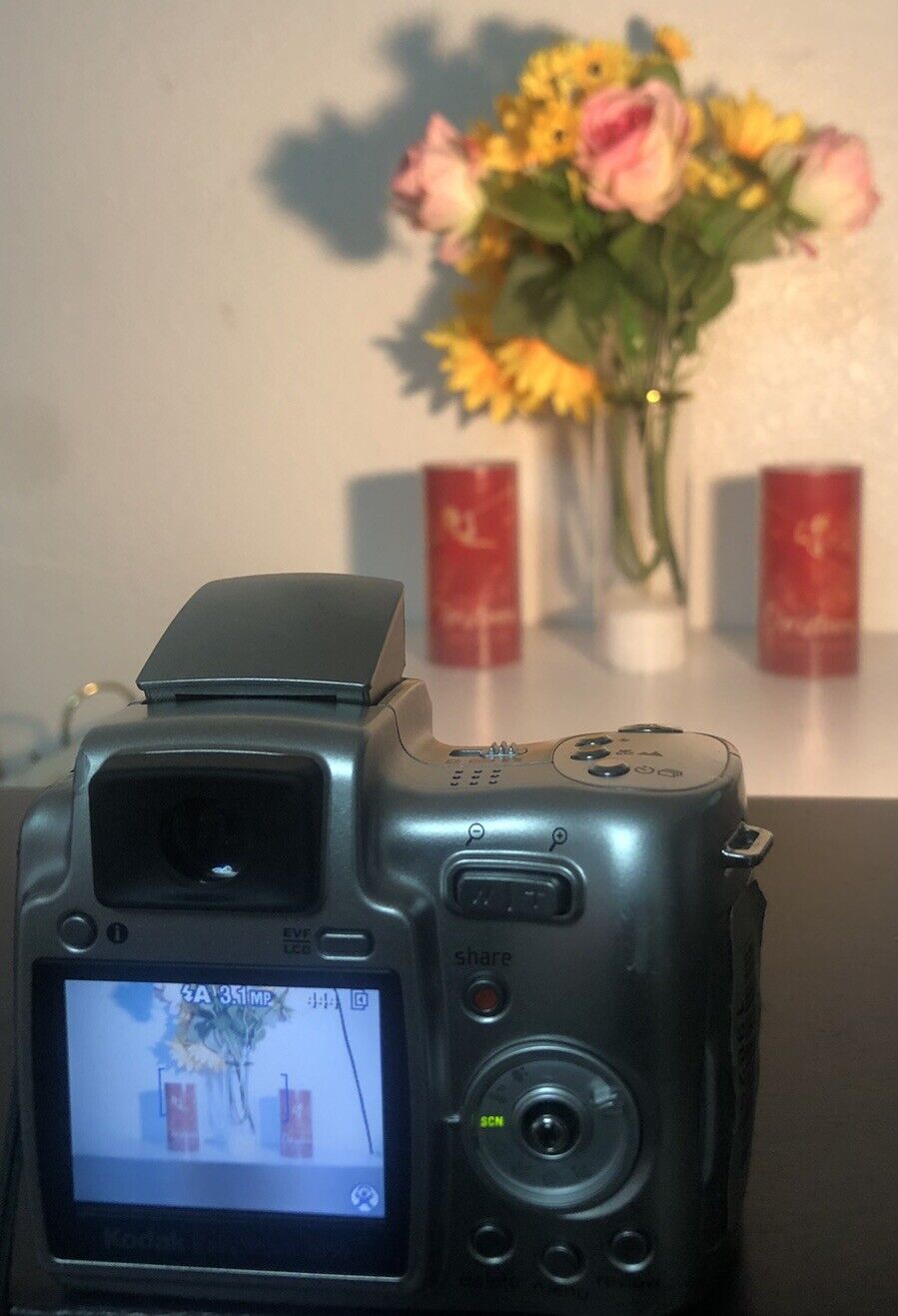 Picture 5 of 15