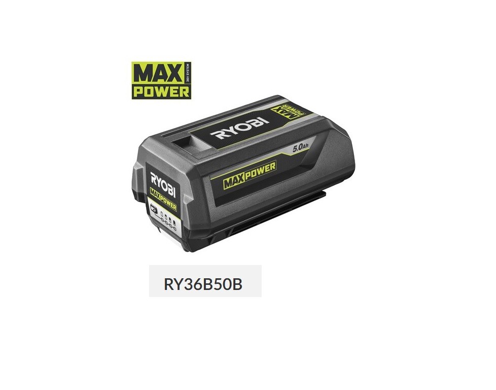 Ryobi BPL3640D2 36V 4Ah Lithium-Ion Akku (5133004457) online  