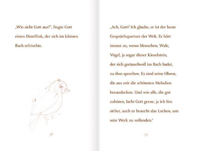 Thumbnail - Wie Sehe Ich Aus? , Fragte Gott | Rafik Schami | Deutsch | Buch | 64