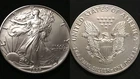 MINT 1988 WALKING LIBERTY AMERICAN EAGLE .999 FINE SILVER DOLLAR COIN 1oz $1 USA