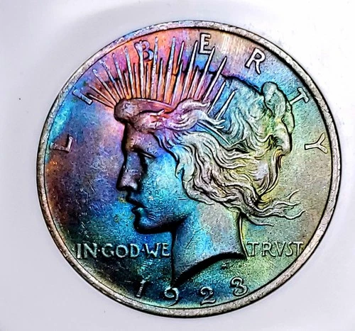 1923-P Peace Silver Dollar Ms65 Amazing Toned