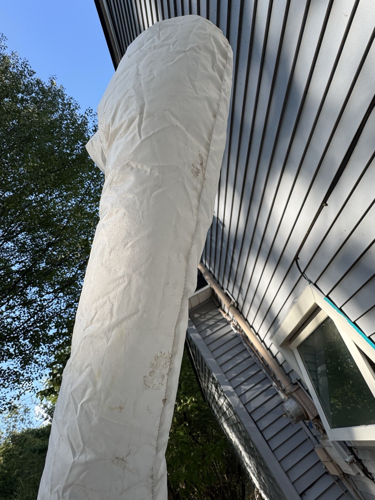 Picture 7 of 24