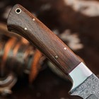 8.4" inch Damascus Steel Hunting Knife Full Tang Wood Handle Leather Sheath — photo 10