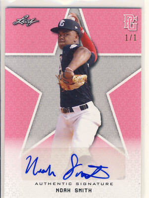 NOAH SMITH 2020 Leaf Perfect Game PG Blank Back AUTO /1 ILLINOIS ST 1/1