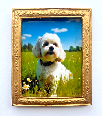 Miniatura Per Casa Delle Bambole – Quadro Cane Cavachon In Cornice Oro – Scala 1:12 – SK005 - Foto 2