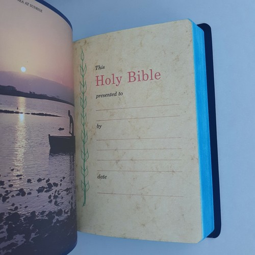 2 Holy Bibles KJV Dictionary Concordance Nelson Red 162R Blue 162B 1984 U.S.A. - Picture 11 of 15